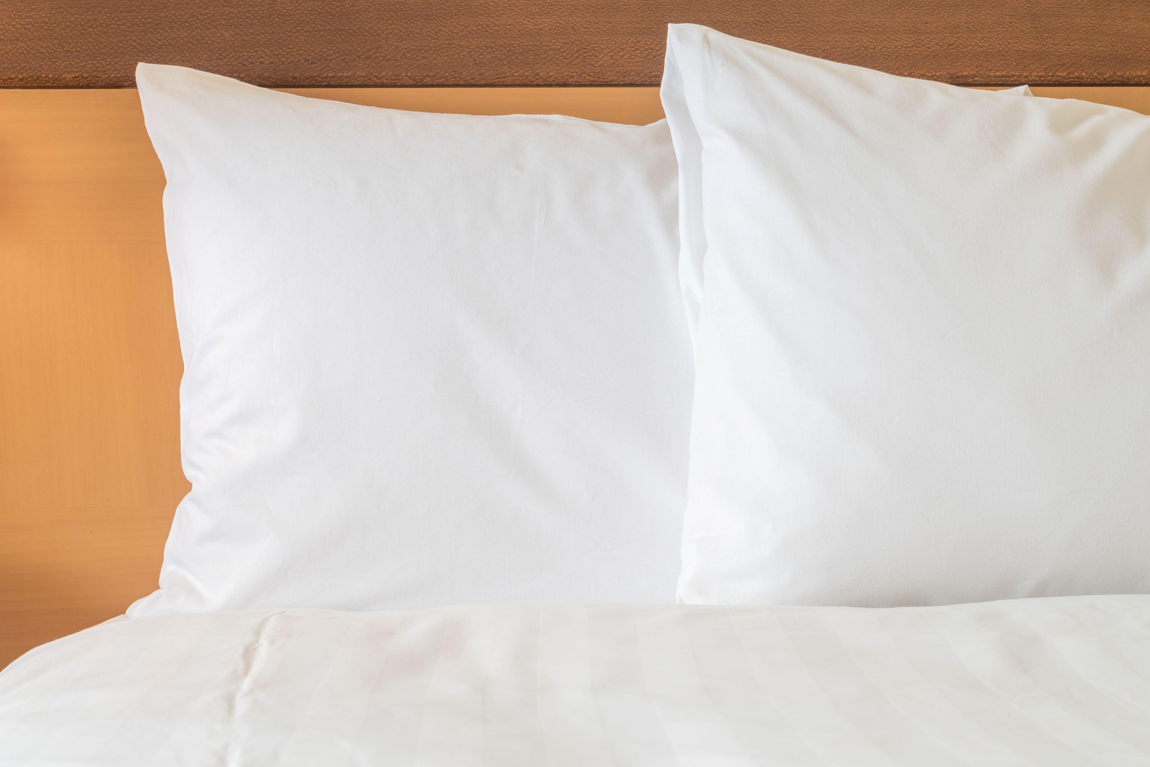 Holiday Inn Express & Suites St. John'S Airport By Ihg מראה חיצוני תמונה